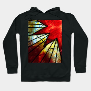 Red Star Nova Hoodie